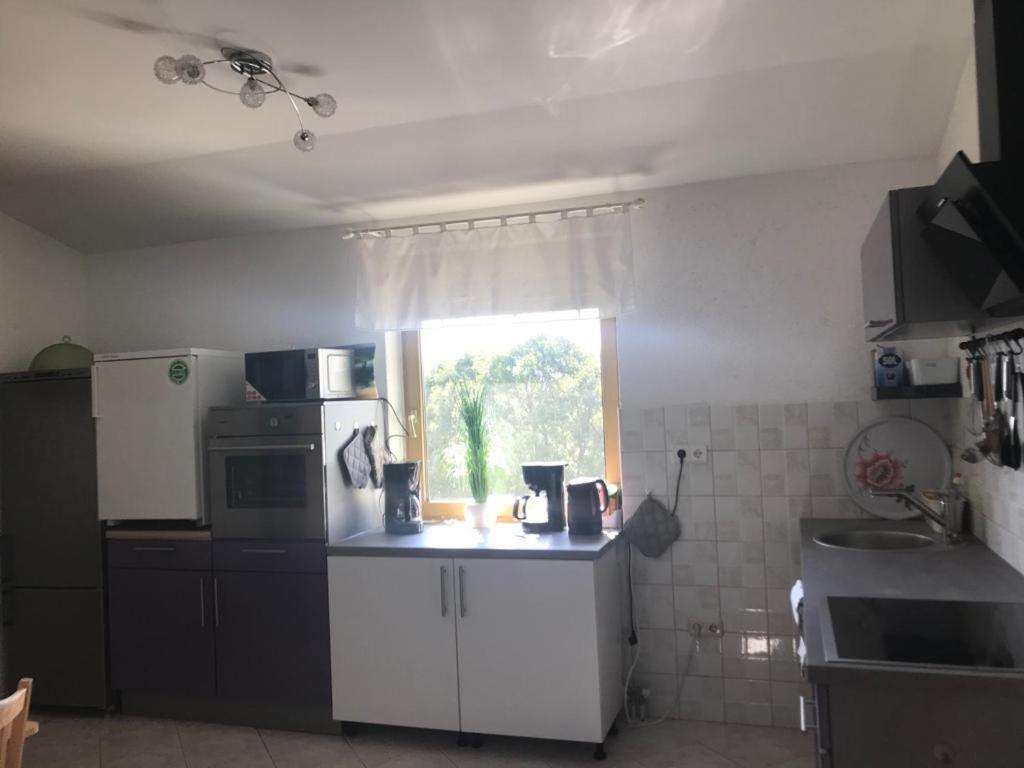 Ferienhaus Tomic Nedescina Ngoại thất bức ảnh